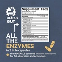 healthy-gut-holozyme-max-strength-digest-2.jpg