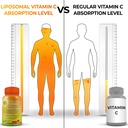 quercetin-with-bromelain-vitamin-c-zinc--2.jpg