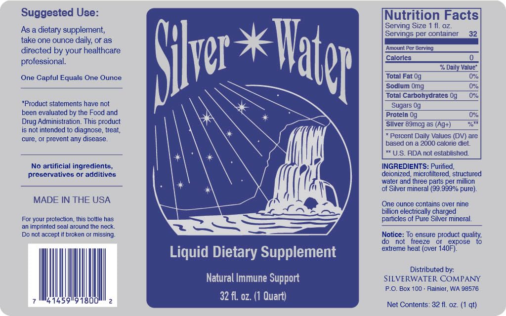 wayne-rowland-silver-water-original-form-2.jpg