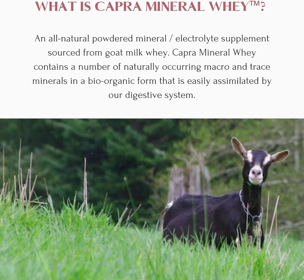 mt-capra-mineral-whey-a-whole-food-bio-a-4.jpg