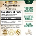 magnesium-citrate-1000mg---high-absorpti-2.jpg