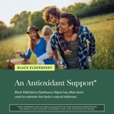 gaia-herbs-black-elderberry-sambucus-nig-5.jpg