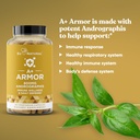 a-armor-andrographis-pure-800-mg-healthy-4.jpg