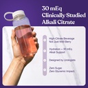 stone-stopper-drink-mix-wild-berry-kidne-4.jpg