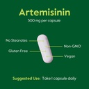bestvite-artemisinin-500mg-per-capsule-6-5.jpg