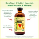 childlife-essentials-kids-multivitamin-m-5.jpg