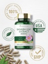 carlyle-banaba-leaf-extract-capsules-600-5.jpg