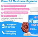mushroom-supplement-2600mg-20-in-1-mushr-6.jpg