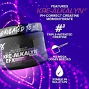 efx-sports-kre-alkalyn-efx-powder-ph-cor-4.jpg