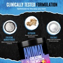 animal-creatine-chews-tablets-enhanced-c-5.jpg