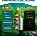 chlorella-supplement-for-men-and-women---4.jpg