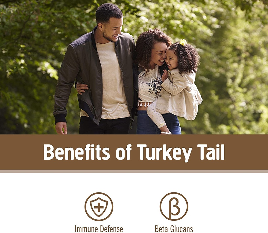 om-mushroom-superfood-turkey-tail-mushro-3.jpg