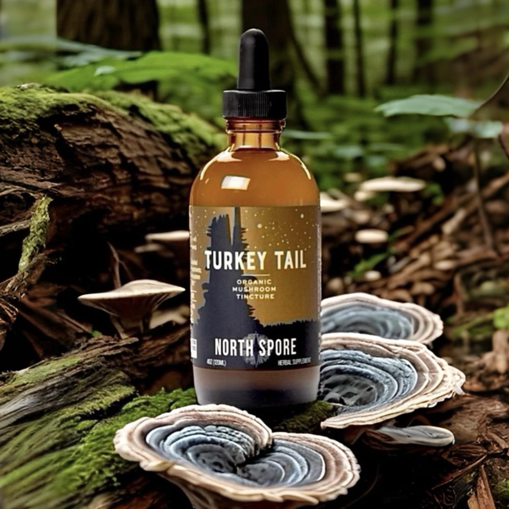 north-spore-organic-turkey-tail-tincture-5.jpg
