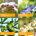 herb-pharm-relaxing-sleep-herbal-formula-6.jpg