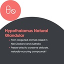 allergy-research-group-hypothalamus-supp-5.jpg