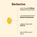 micro-ingredients-berberine-1000mg-with--2.jpg