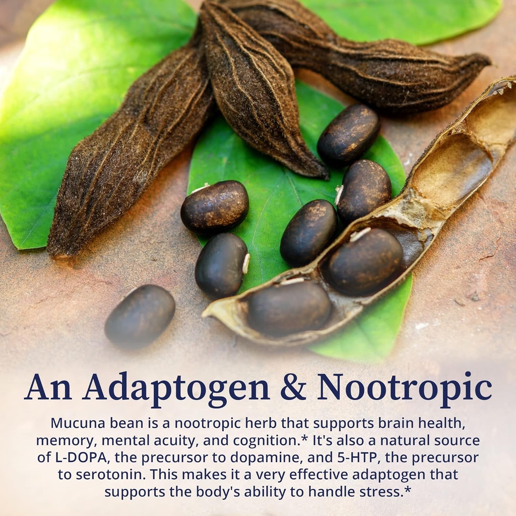 biopure-certified-organic-mucuna-bean-po-5.jpg