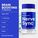 5-pack-nerve-sync-capsules-nervesync-pil-5.jpg