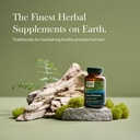 gaia-herbs-saw-palmetto---supports-healt-2.jpg