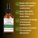 magmushroom-cordyceps-mushroom-extract-l-3.jpg