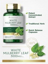 carlyle-mulberry-leaf-extract-3000mg-100-3.jpg