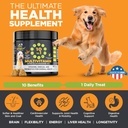 googipet-premium-10-in-1-dog-vitamins-mu-4.jpg