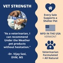 under-the-weather-pet-electrolytes-ready-5.jpg