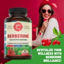 1200mg-berberine-herbal-health-capsules--2.jpg