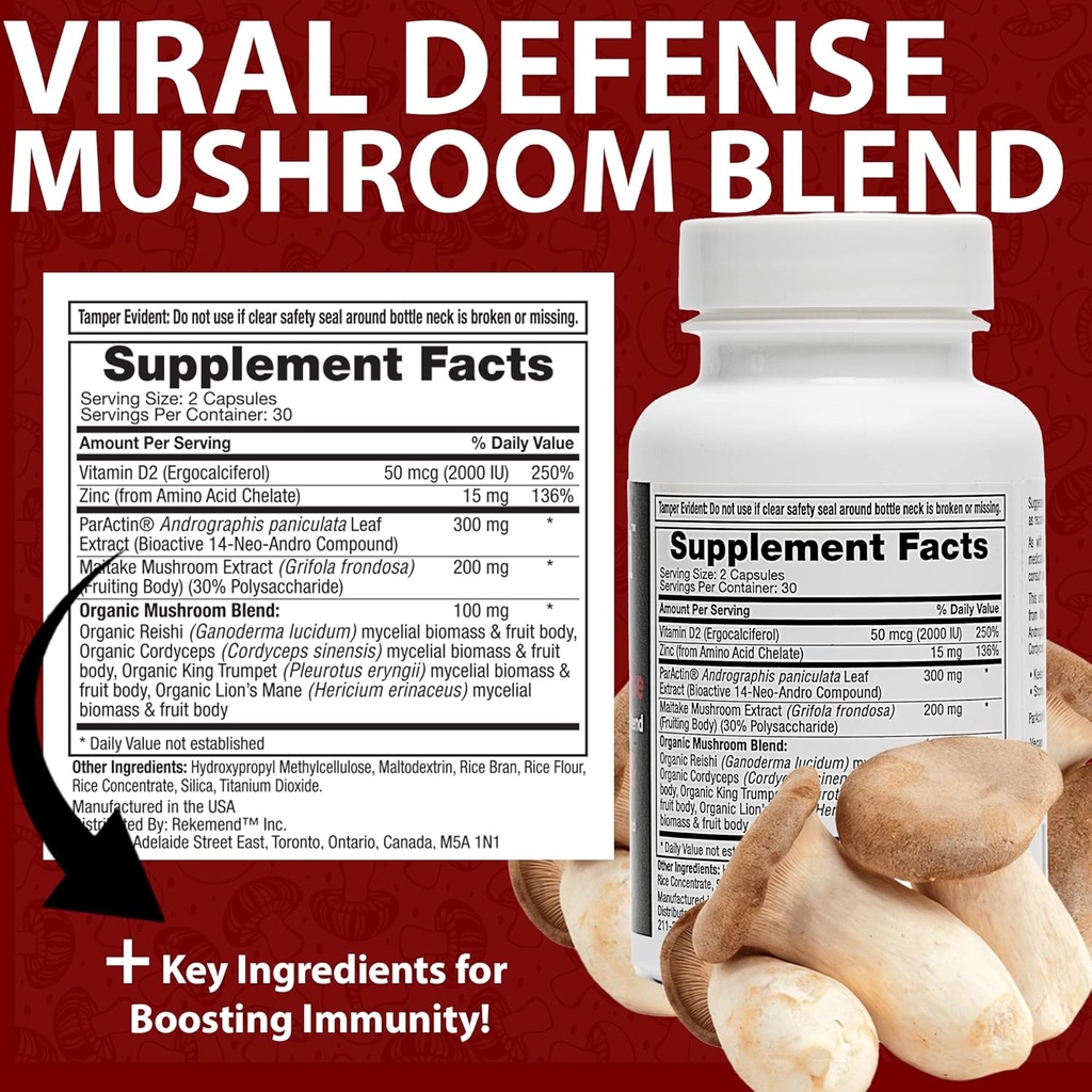 mushroom-supplement-for-immune-support---6.jpg