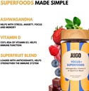 jugo-focus-superfoods-ashwagandha-gummie-4.jpg