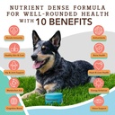 natural-dog-company-multivitamin-supplem-6.jpg