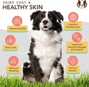 natural-dog-company-2-pack---16-oz-skin--2.jpg