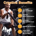 creatine-monohydrate-gummies-5600mg-for--5.jpg