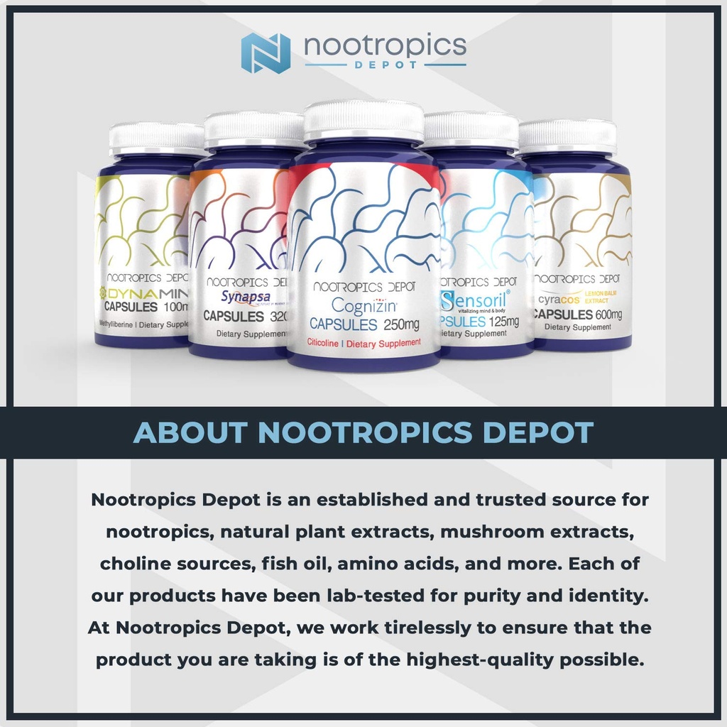 nootropics-depot-lions-mane-mushroom-pow-4.jpg