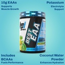 bpi-sports-essential-amino-acids-eaa-pow-6.jpg