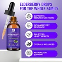 elderberry-syrup-quercetin-black-elderbe-3.jpg