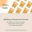 om-lions-mane-mushroom-powder---organic--4.jpg