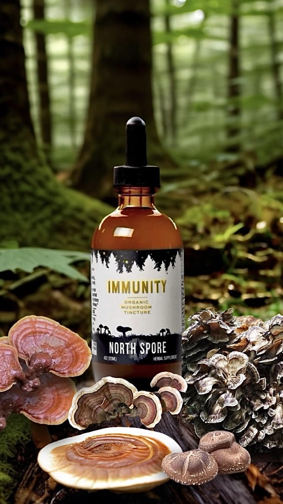 north-spore-organic-immunity-mushroom-ti-4.jpg