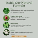 native-remedies-uti-clear-for-urinary-tr-3.jpg