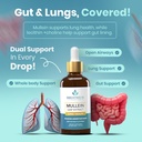 4-in-1-mullein-drops-for-lungs-gut-healt-4.jpg