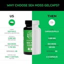 happy-healthy-hippie-sea-moss-gel-capsul-2.jpg