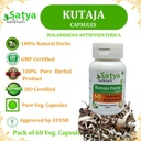 kutaja-forte-capsules-500-mg-60-veg-caps-5.jpg