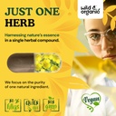 wild-organic-mullein-capsules-4-1-mullei-5.jpg