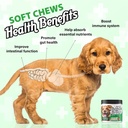 charlie-buddy-pet-probiotics-for-dogs-ai-2.jpg