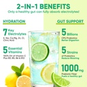 venture-pal-2-in-1-hydration-packets-gut-2.jpg