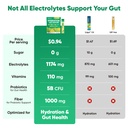 venture-pal-2-in-1-hydration-packets-gut-3.jpg