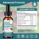 glucosamine-chondroitin-msm-liquid-drops-2.jpg