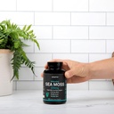 certified-organic-sea-moss-capsules-2250-6.jpg