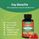 hawthorn-berry-capsules-antioxidant-circ-2.jpg