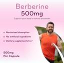 berberine-supplement-500mg---lab-tested--3.jpg